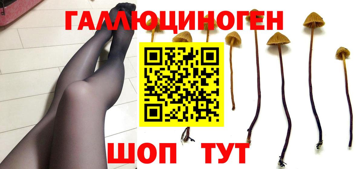 закладка  Вход с VPN  Междуреченск  Псилоцибиновые грибы Cubensis 